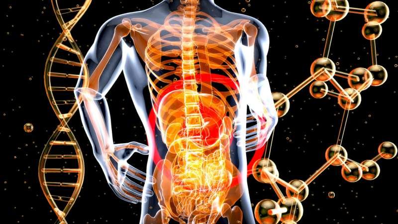 Understanding How Nutrients Reach Your Cells