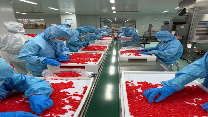 Supplement Manufacturing Cost