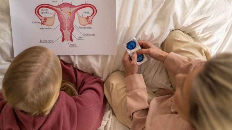 Embryo Transfer Protocols