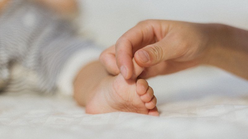 Ideal Parent Figure Protocol