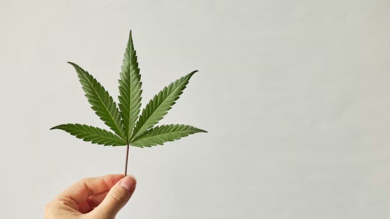 Other Words for Weed