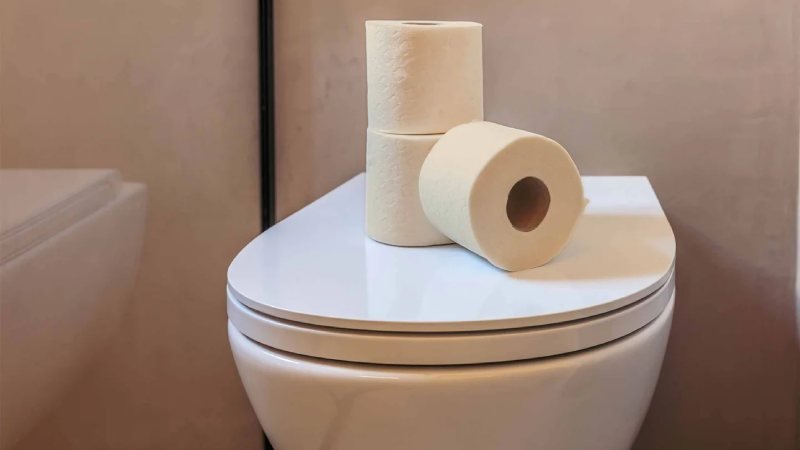 Bamboo Toilet Paper