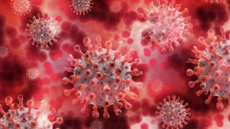 How do blood clots form
